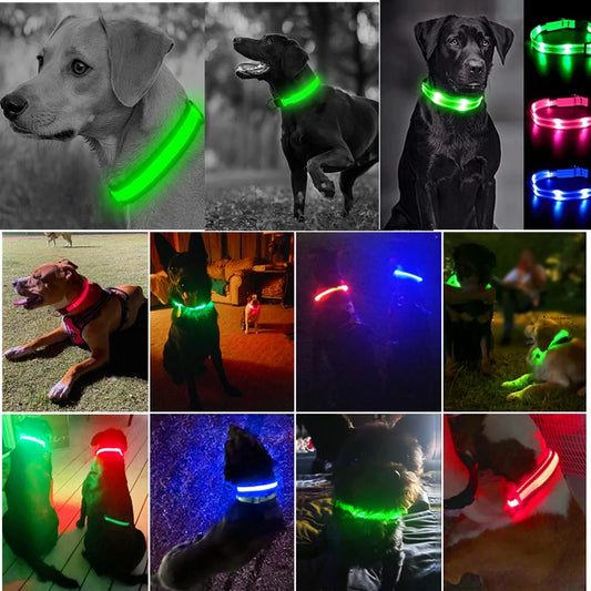 Rechargeable LED Glowing Dog Collar Adjustable Flashing Lighted